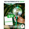 3pcs 16 Oz Plant Watering Globes for Indoor Plants with