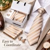 Champagne Gold Striped Silk Tie Gift Set for Men with