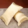 Dehman 2xSilky Soft Satin Standard Pillow Cushion Cover Pillowcase Bed