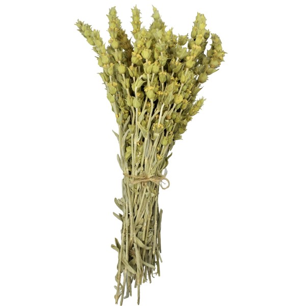 Griechischer Gebirgstee Bergtee Ganz Kräutertee - Sideritis Raeseri (900g)
