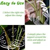 10PCS Monstera Grapple, Monstera Leaf Plant Support, Turtle Shell Bamboo