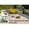 Natural Elements Weed Killer | Pet Safe, Safe Around Children