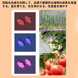 PAVIKE Plant Growing Light, 15 W, LED Plant Growing Light, Timer, House Plant Light (4 H/8 H/12 H), Automatic On/Off, Waterproof, 3 Different Lighting Modes, 5 Brightness, 360° Adjustable, USB Power,