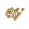 Aasiya Nautical Cabinet Knot Rope Knob/Jute Door Knobs Beach Seaside