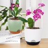 Set of 2 Orchid Pot, 5.8 Inch Double Layer Design