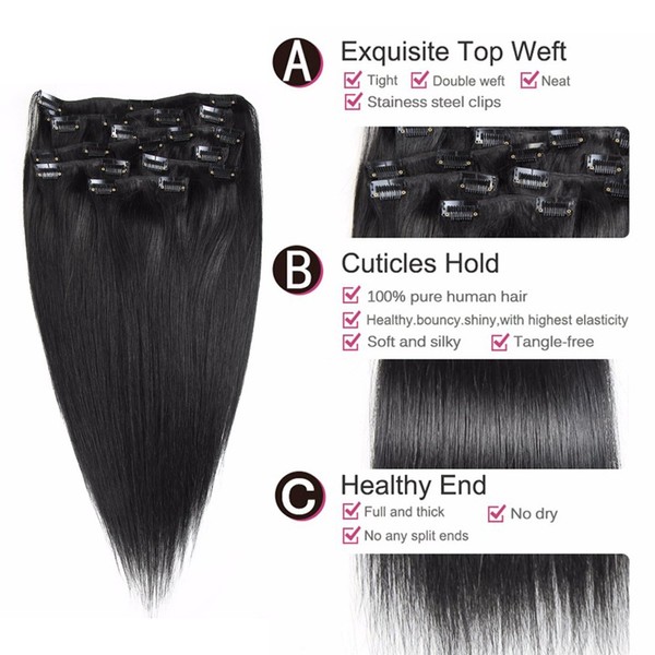 Hannah Queen Hair Brazilian Clip In Hair Extensions #1B Natural Black Grade 8A Double Weft 100% Remy Human Hair Full Head Straight 8pcs 17clips for Women Beauty (20 inch 100g,#1B Natural Black)