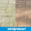 Wet & Forget No Scrub Outdoor Cleaner for Easy Removal