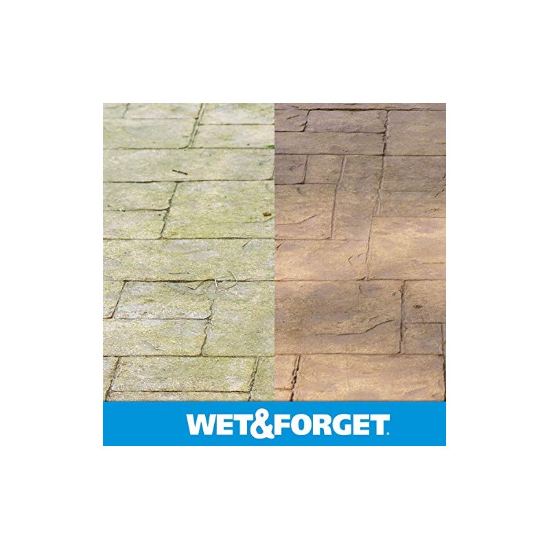 Wet & Forget No Scrub Outdoor Cleaner for Easy Removal