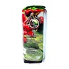 Café Lareño Whole Bean Coffee - Lares, Puerto Rico -