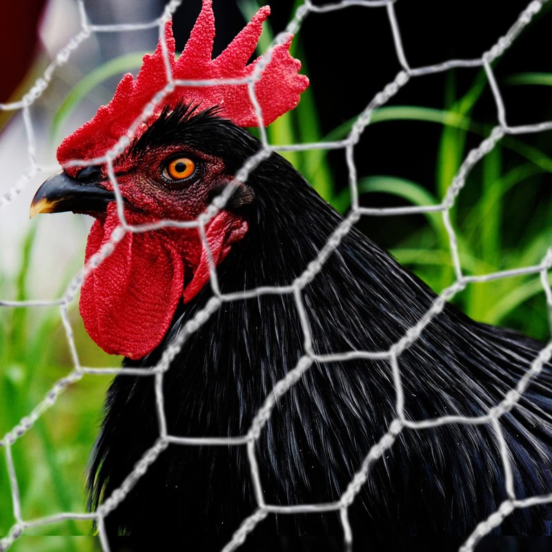 SATINIOR 2 Sheets Chicken Wire Net for Craft Work, Galvanized