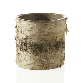 Afloral Natural Birch Vase with Clear Liner - 4.75" Tall x 4.75" Wide