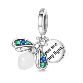 LONGLUCK 925 Sterling Silver Charms for Bracelets Necklaces Dangle Pendant With 5A Cubic Zirconias Bead Charm for Women DIY Jewelry