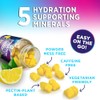 Nature's Nutrition Gomitas de Electrolitos para Hidrataci?n