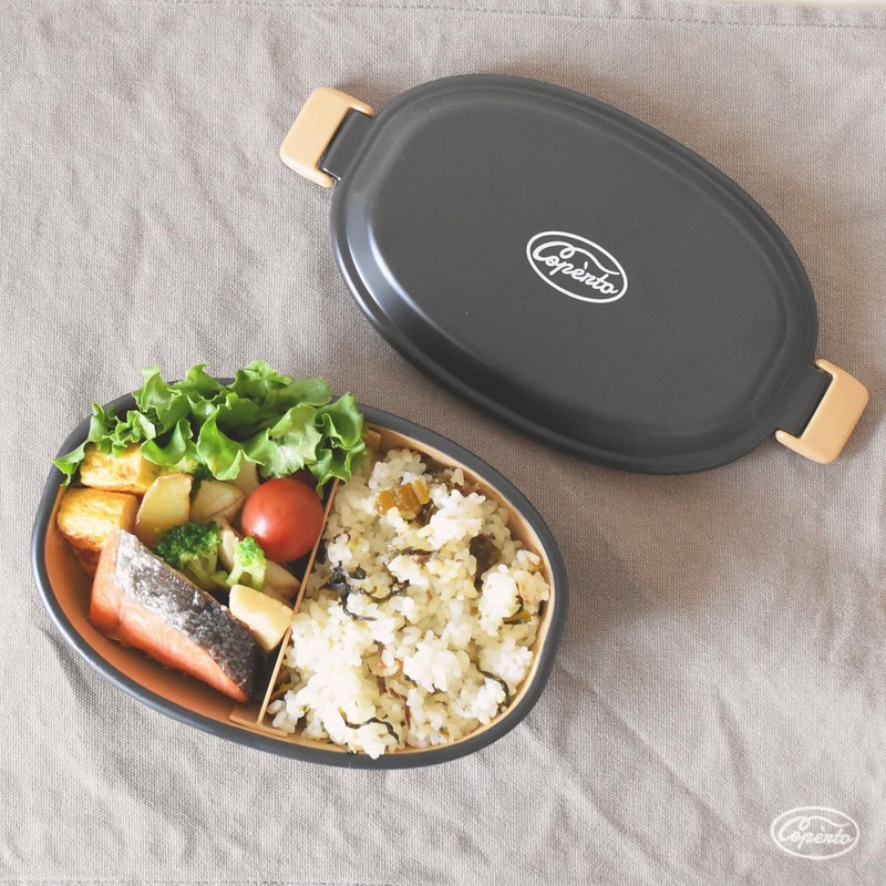 Sabu Copelt 363665 Antibacterial Tableware 1-Tier Lunch, Black, 20.3 fl