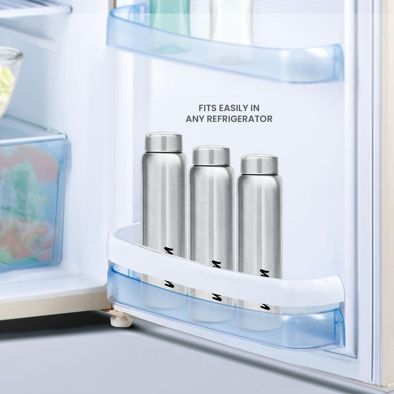 MILTON Aqua 1000 Stainless Steel Water Bottle, 950 ml, Silver