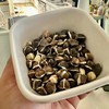 Jamaican Moringa Seeds 2oz, Wildcrafted, Handpicked