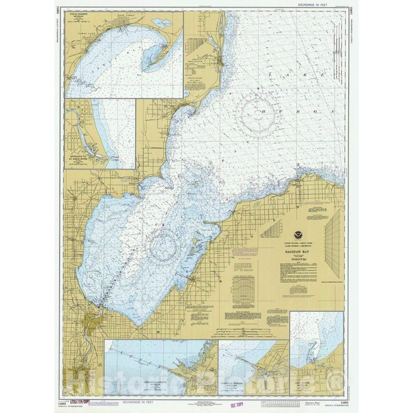 Historic Pictoric Vintage Map - Saginaw Bay, 1981 Nautical NOAA