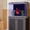 Fish Tank Background Paper - Static Cling Aquarium Backdrop |