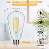 Dimmable Vintage LED Edison Light Bulbs 100W Equivalent, 8W ST58