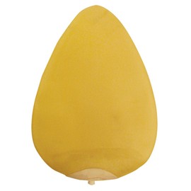 EVERLAST DOUBLE SPEED BAG BLADDER ORANGE UNIQUE SIZE