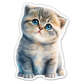 Scottish Fold Cat Sticker - 5" Laptop Sticker - Waterproof Vinyl for Car, Phone, Water Bottle - Kitten Kitty Decal