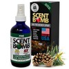 Scent Bomb Pine Air Freshener Spray, Long-Lasting Odor Eliminator for