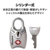 Master Lock (Master Lock Master Lock TSA Padlock Cylinder Type