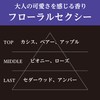カーオール (Carall) 車用 芳香剤 ドリームマジック チャーム 3個パック フローラルセクシー 9gx3個 1648