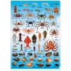 The Access Clear File, Sea Products, A4 Pocket File, Clear