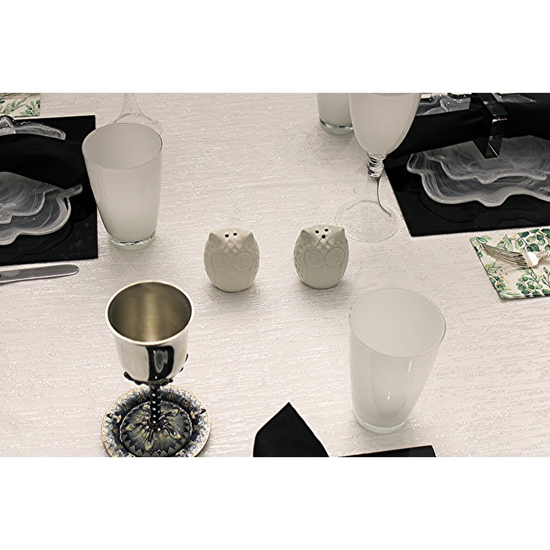 Retro Style Owl Shape Salt & Pepper Shaker Set Kitchen