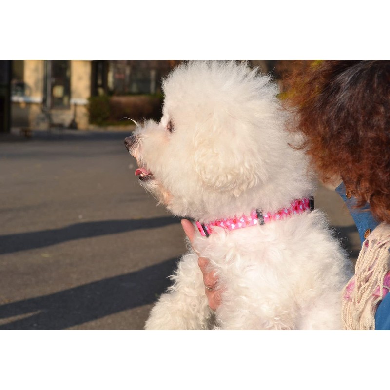 Mihqy Valentine's Day Dog Collar - Adjustable Heart Dog Collar