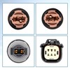 Panwarmoll 23295978 Driver Side Tail Light Lamp Wiring Harness Fit