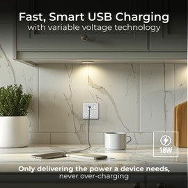 BG Electrical Single Switched Power Plug Wall Socket with Type A USB and Type C USB Charging Ports, Fast Charge, Screwless Front Plate, Evolve, Brushed Steel, 13A, 18W, PCDBS21UAC18W