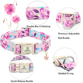 Lionheart glory Dog Collar Floral Pattern Cute Collar for Small Dogs Spring Summer Female or Male Collars Pets Gift Adjustable Heavy-Duty Pet Collars