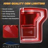 Nakuuly LED Tail Light with Blind Spot Compatible With Ford