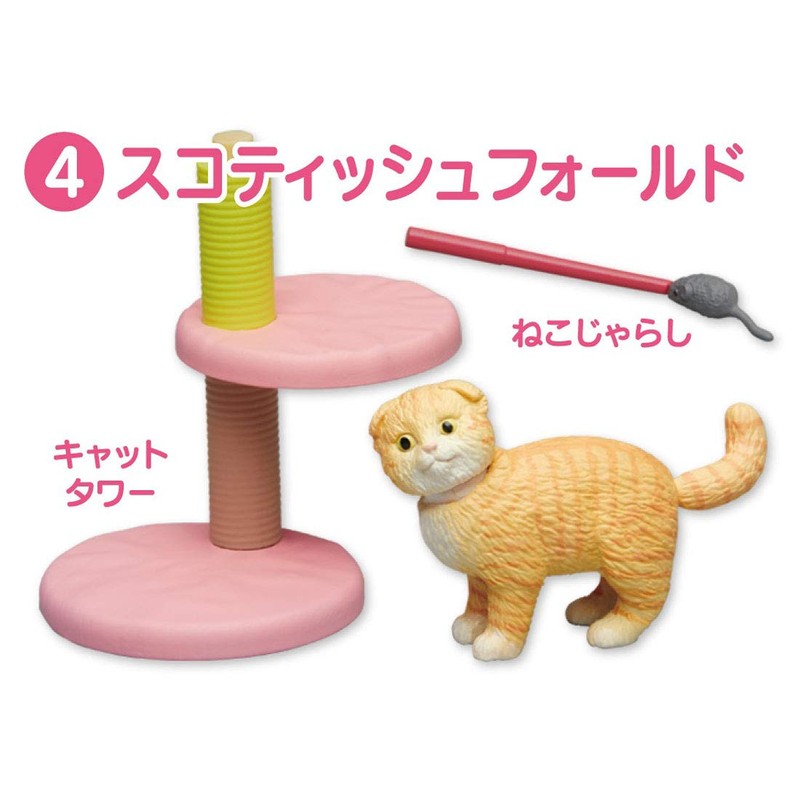 ania ania friends cat