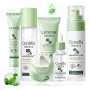 Set Mopoyat Kit Control De Acne Centella Asiatica