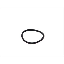 Elring 761.109 Gasket, Thermostat