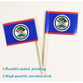 JBCD Belize Toothpick Flag Belizean Mini Small Cupcake Topper Flags, 200pcs