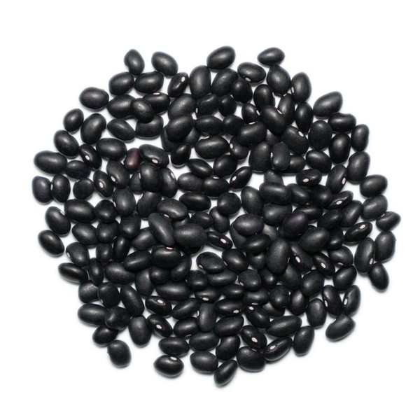 Bulk Bucket of Organic Black Beans (25 Lb. Bucket)