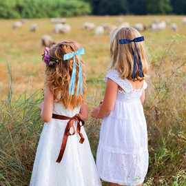 AMYBASIC 2pcs Hair Clips Bow with Long Tail, Tassel Ribbon Hair Clips for girls, Hair Accessories for Baby Toddlers Teens Kids(Navy Blue)