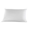 American Hotel Register - Registry Comfort Basics Pillow (2 Standard