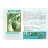 BOTANICAL PREMIUM Series Jojoba Oil & Pure Soap Set