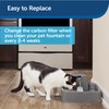 PetSafe Drinkwell Replacement Carbon Filters, Dog and Cat Ceramic and