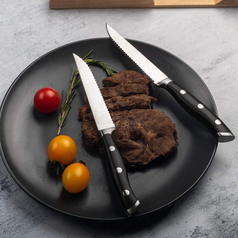 Alata 6-Piece Steak Knives Set with Block, Stainless Steel Steak