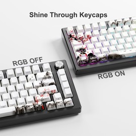XVX PBT Keycaps - Side Print Keycaps, Shine Through Custom Keycaps 75 Percent, Retro Keycap Set Dye Sub and Double Shot, 128 Keys Cherry Profile Keyboard Keycaps for Mechanical Keyboards, Plum Blossom