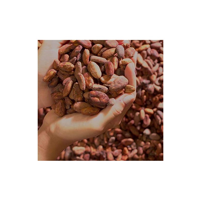 Cortés Regular Ground Chocolate 10oz - 3 Pack