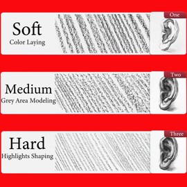 Heshengping Professional Charcoal Pencils Drawing Set -12 Pieces Soft, Medium Hard Charcoal Pencils for Drawing Sketching Shading Artist Pencils for Beginners Artists