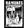 Flagline Ramones - CBGB Textile Poster