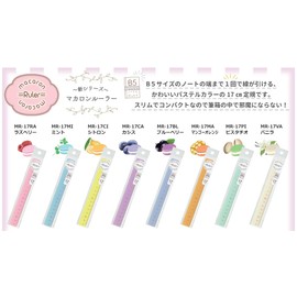 Nishi Takashi Macaron Series Ruler Set, 3 Types, Pistachio MR-TPPI